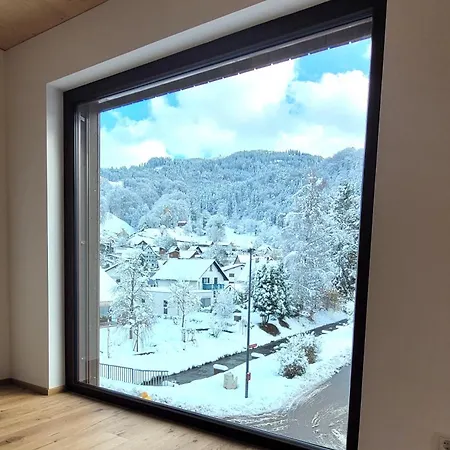 Urban-apartmenthaus Zwischen Berg Und Apartment Dornbirn